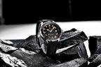 Orologi da uomo PAGANI DESIGN, orologio meccanico automatico di lusso, orologio da uomo resistente all'acqua, vetro zaffiro AR, orologio leggero, spedizione locale UE