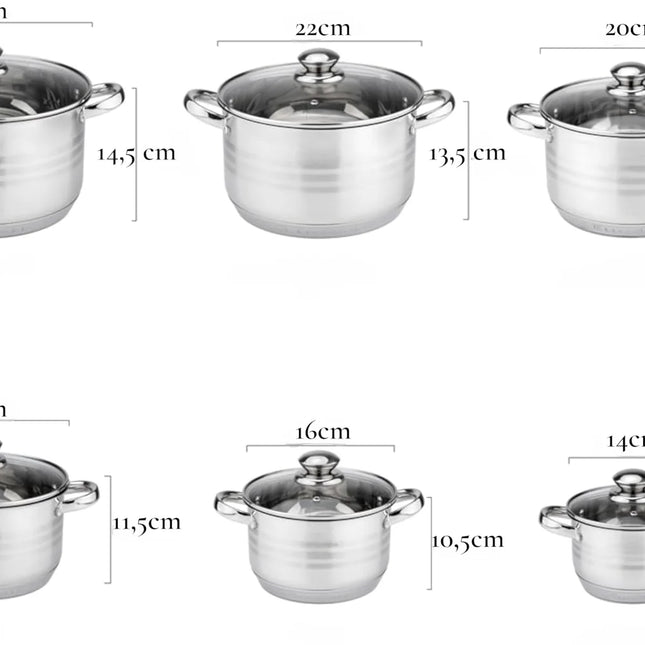 Set di Pentole Klönberg | Set di Pentole per Cucina a Induzione da 12 Pezzi | Acciaio Inossidabile | Coperchi in Vetro Temperato | Maniglie Comode | Varie Misure | Resistente ai graffi | Lavorazione di alta qualità
