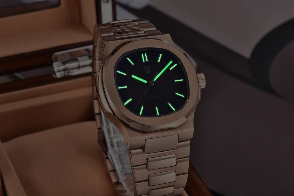 PAGANI DESIGN Orologio da uomo 40MM automatico meccanico lusso oro