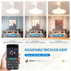 Ventilatore a soffitto Nordic Simple Boom con luce, controllo remoto tramite APP, regolazione continua della luminosità, 6 velocità del vento, per soggiorno, camera da letto, ristorante, decorazione.