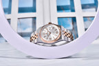 PAGANI DESIGN Orologio da Polso Meccanico Uomo Modello PD-YS027 Acciaio Inossidabile Vetro Zaffiro