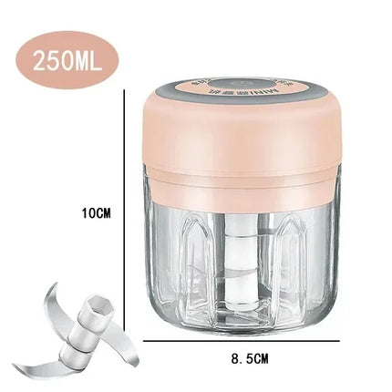 250/100ML Mini Tritatutto Elettrico da Cucina USB, Tritacarne Portatile, Tritaverdure per Uso Domestico in Cucina
