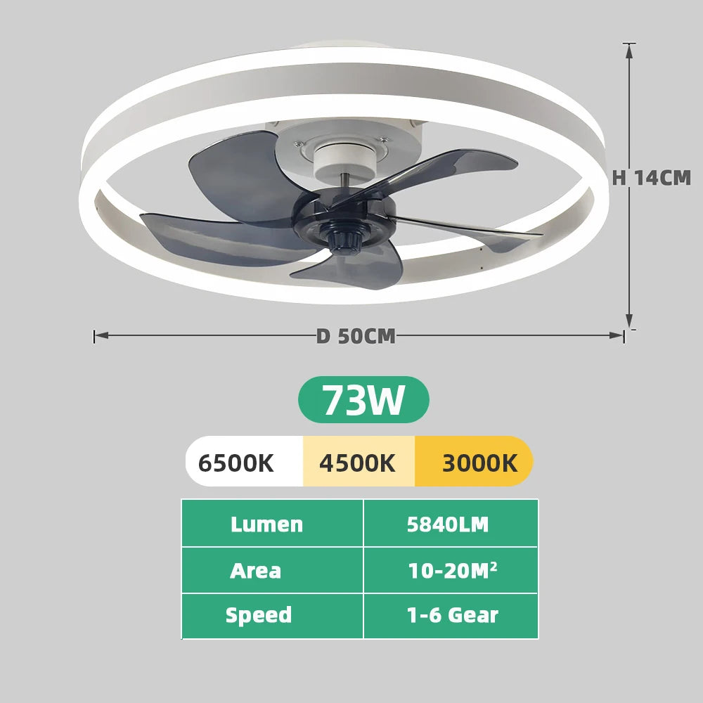 Ventilatore da Soffitto LED Nordico da 50CM con Luce, Apparecchio di Illuminazione in Acrilico, Ventilatore Elettrico Silenzioso e Rinfrescante con Timer per Uso Domestico