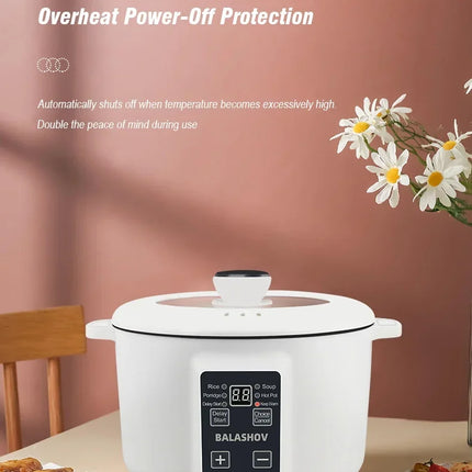 220V Multifunctional Cooker Single/Double Layer Portable Electric Pot 1.7L Household Non-Stick Pan for Ramen, Dumplings, Oatmeal