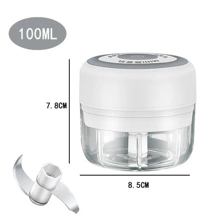 Tritacarne Elettrico Aglio Chopper 100ML/250ML, Spremiaglio Girevole, Tritaverdure, Taglia Cipolle, Accessori da Cucina