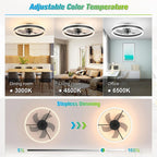Ventilatore da Soffitto LED Nordico da 50CM con Luce, Apparecchio di Illuminazione in Acrilico, Ventilatore Elettrico Silenzioso e Rinfrescante con Timer per Uso Domestico