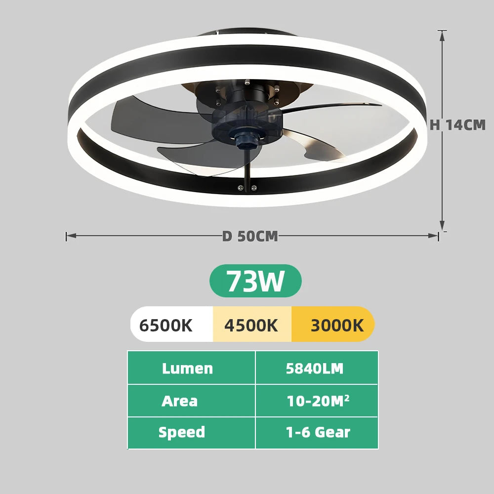 Ventilatore da Soffitto LED Nordico da 50CM con Luce, Apparecchio di Illuminazione in Acrilico, Ventilatore Elettrico Silenzioso e Rinfrescante con Timer per Uso Domestico