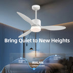 Ventilatore da Soffitto a Risparmio Energetico da 42-52 Pollici con Luce e Telecomando Ventilatore Elettrico Reversibile a 3 Pale, Ventilatore da Soffitto a Basso Profilo per Caffetteria, Casa, Hotel, Ufficio, Bungalow