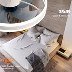 Ventilatore da Soffitto LED Nordico da 50CM con Luce, Apparecchio di Illuminazione in Acrilico, Ventilatore Elettrico Silenzioso e Rinfrescante con Timer per Uso Domestico