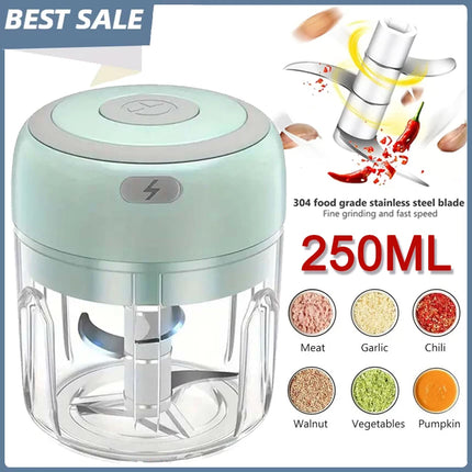 Electric garlic chopper, 250ml stainless steel, sturdy and durable, kitchen garlic and ginger mincer, mini food processor.