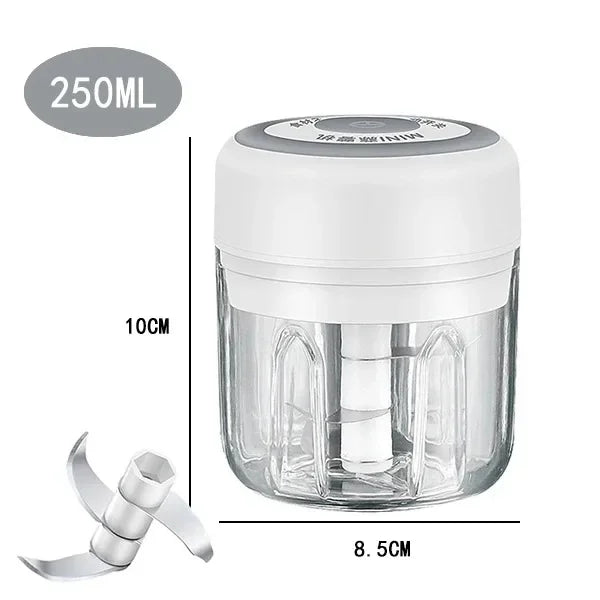 250/100ML Elektrischer Küchenzerkleinerer Mini USB Lebensmittelzerkleinerer Tragbarer Fleischwolf Gemüsezerkleinerer für den Heimgebrauch in der Küche