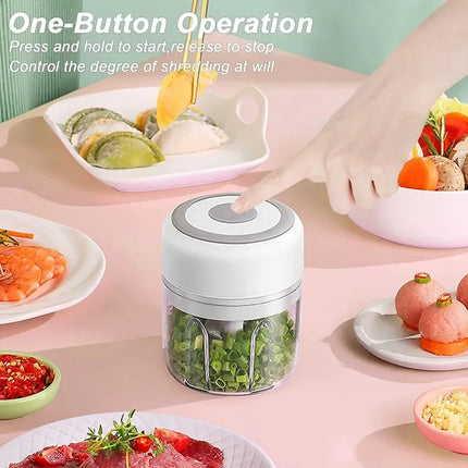 250/100ML Mini Tritatutto Elettrico da Cucina USB, Tritacarne Portatile, Tritaverdure per Uso Domestico in Cucina
