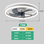 Ventilatore da Soffitto LED Nordico da 50CM con Luce, Apparecchio di Illuminazione in Acrilico, Ventilatore Elettrico Silenzioso e Rinfrescante con Timer per Uso Domestico