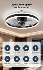 Ventilatore da Soffitto LED Nordico da 50CM con Luce, Apparecchio di Illuminazione in Acrilico, Ventilatore Elettrico Silenzioso e Rinfrescante con Timer per Uso Domestico
