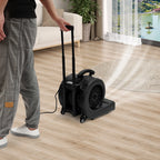 Ventilatore Portatile per Asciugatura Pavimenti, Soffiatore da 750W, 3 Velocità, Cavo da 5m, Timer 120min, 0-90° °   Asciugatore Angolare per Tappeti, Pavimenti e Pareti in Ambienti Commerciali e Industriali, 48*38*46cm