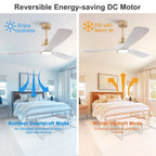 Ventilatore da soffitto bianco-oro da 52 pollici con luce e telecomando, funzione di memoria, motore DC silenzioso e reversibile, 3 pale in ABS, moderno ventilatore da soffitto per interni ed esterni con luce per camera da le
