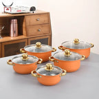 Set di pentole in acciaio inossidabile da 10 pezzi Pentole a induzione Utensili da cucina antiaderenti Pentola per stufato in acciaio inossidabile con coperchio per pentola