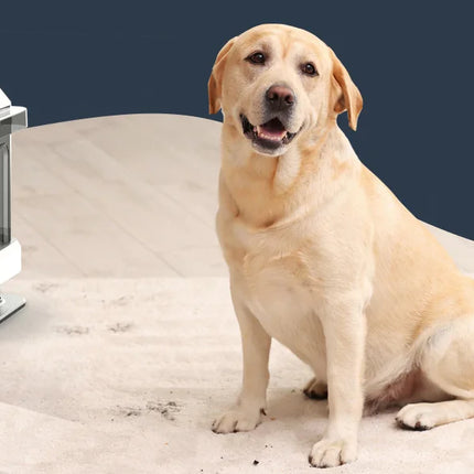 Portable Carpet Cleaner 750W, 15Kpa, Wet Cleaning Machine for Fabrics and Sofas, Portable for Car and Pet Hair