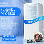 Condizionatore d'Aria Portatile 12000 BTU, Unità AC Mini Tutto-in-Uno, Efficiente dal Punto di Vista Energetico, Raffreddamento e Riscaldamento, Condizionatore d'Aria Compatto per Casa e Ufficio