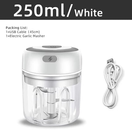 Electric Garlic Chopper 250ML, Vegetable Chopper, Mini USB Garlic Chopper, Onion Chopper, Small Portable Food Processor