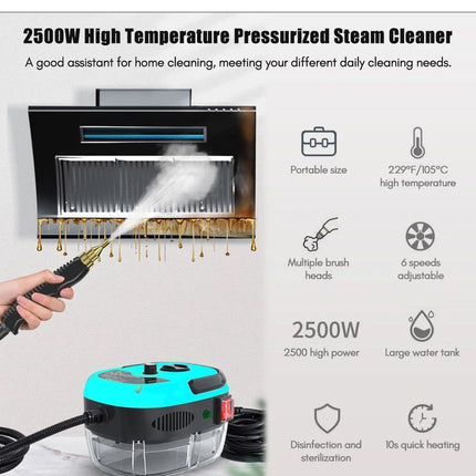 2500W Pulitore a Vapore con Sterilizzazione ad Alta Temperatura, Portatile, per Auto, Casa, Cucina, Condizionatore d'Aria