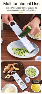 Affettatrice per Aglio in Acciaio Inox 2 in 1, Taglia Aglio e Zenzero, Tritatutto a Doppia Faccia per Verdure, Spezie ed Erbe