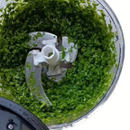 Multifunktionaler manueller Küchenroboter Chili Knoblauch Gemüseschneider Obst Zerkleinerer Maschine für die Küche
