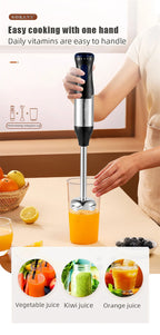 Edelstahl 4-in-1 Stabmixer Set, Handmixer, Gemüseschneider und Fleischwolf, Smoothie Maker